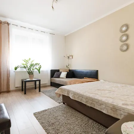 Appartement Fekete Virag Vendeghaz *