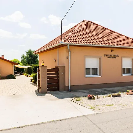 Appartement Fekete Virag Vendeghaz